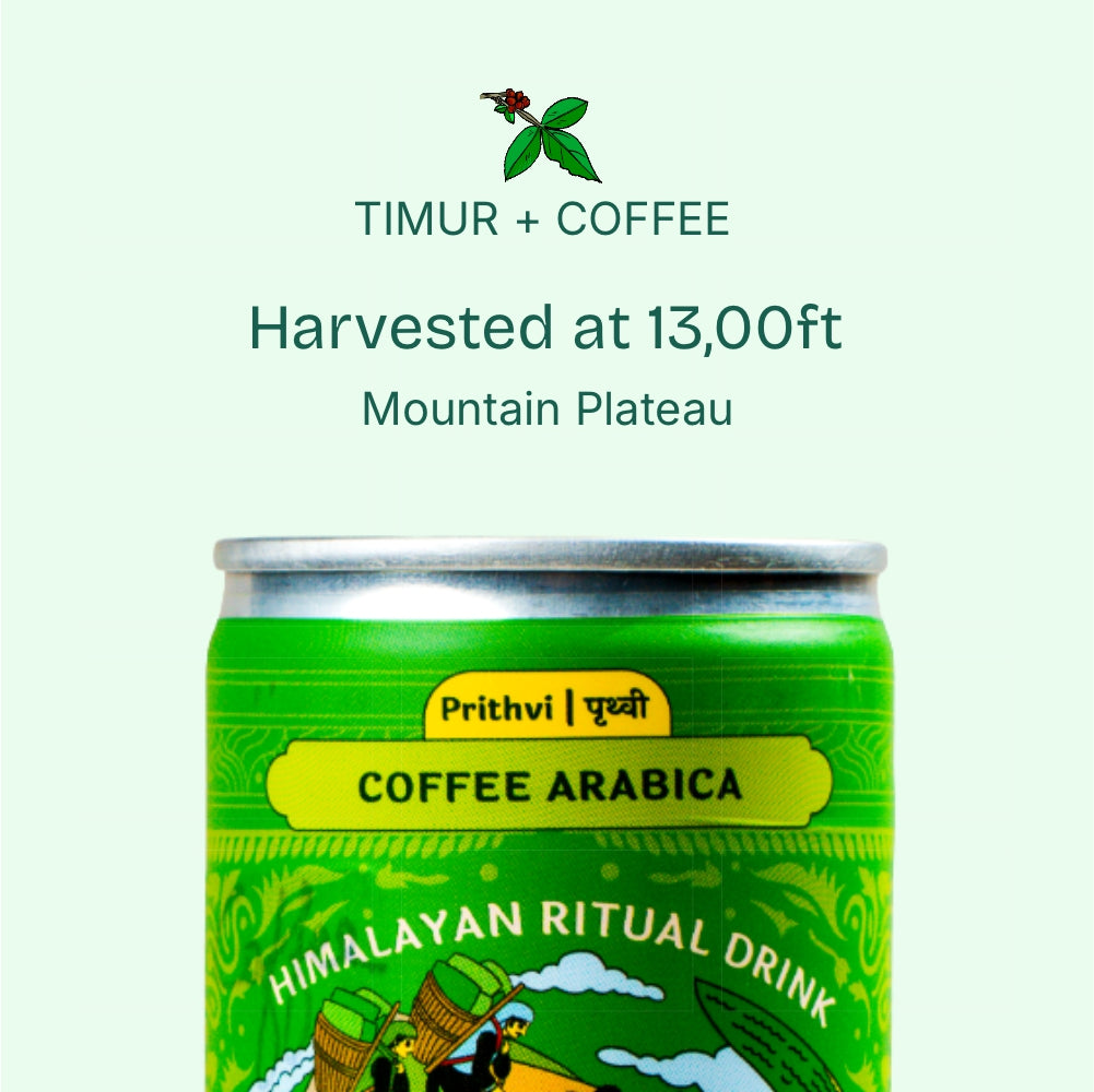 PRITHVI – Coffee Arabica